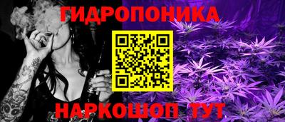 apvp Заволжье