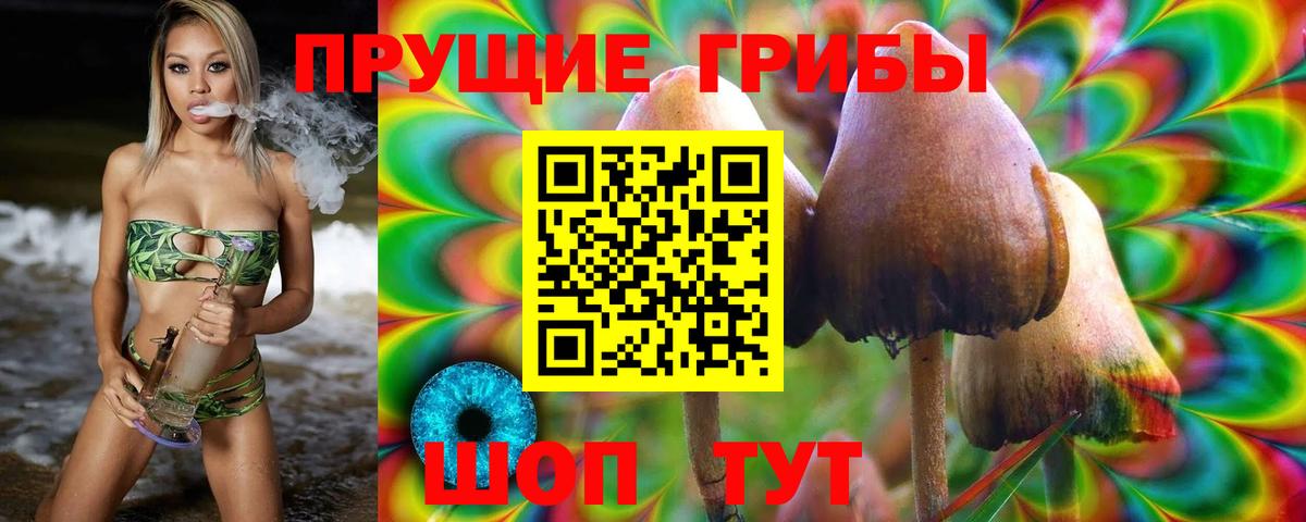 Краснодар  купить закладку  Вход с VPN  Псилоцибиновые грибы ЛСД 