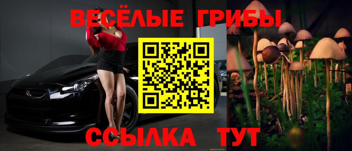 Галлюциногенные грибы Cubensis Краснодар