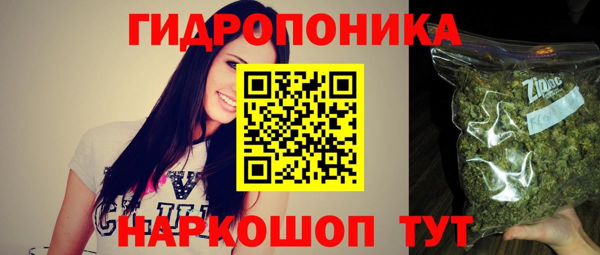 Марихуана индика  Вход с VPN  Краснодар  Каннабис семена 